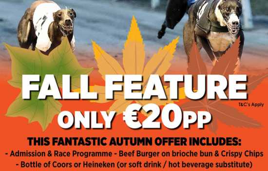 Picture shows details of the Fall Feature package which is available from Friday 29th September to Saturday 18th November at Newbridge Greyhound Stadium. This online exclusive admission offer is just €20 per person and includes admission, race programme food and a drink. 