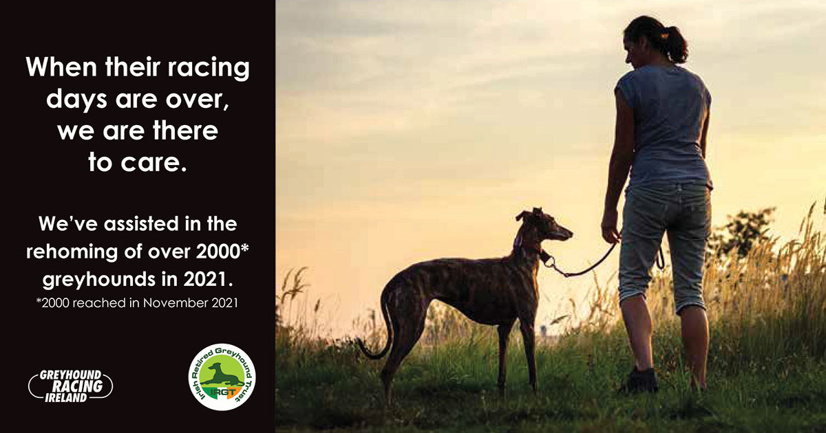 In 2021 the Irish Retired Greyhound Trust, funded by Greyhound Racing Ireland and prizemoney contributions from owners and trainers, assisted in the highest number of rehomings in any year. 