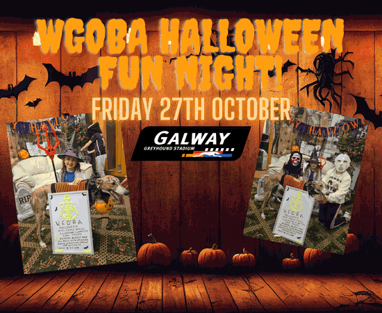 Bring the family for a fun night out this Halloween at Galway Greyhound Stadium on Friday 27th October