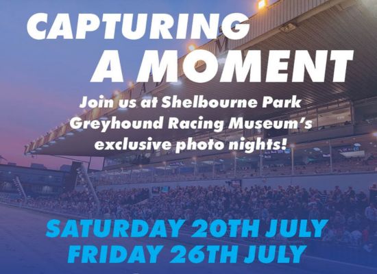 Our photographer will be photographing on two nights this July, don’t miss your chance to be part of something very special. for the new Greyhound Racing Museum at Shelbourne Park