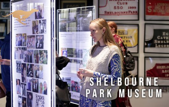 Image shows a woman viewing the exhibits at the new Shelbourne Park Museum in Dublin 4