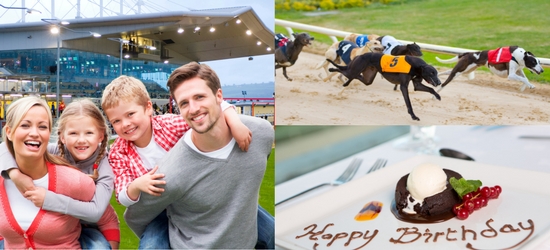 For a fun family activity in Dublin make it a Night at the Dogs in Shelbourne Park Greyhound Stadium.