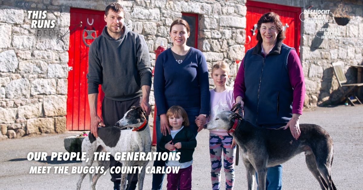 Meet the Buggy family from County Carlow - three generations of greyhound lovers