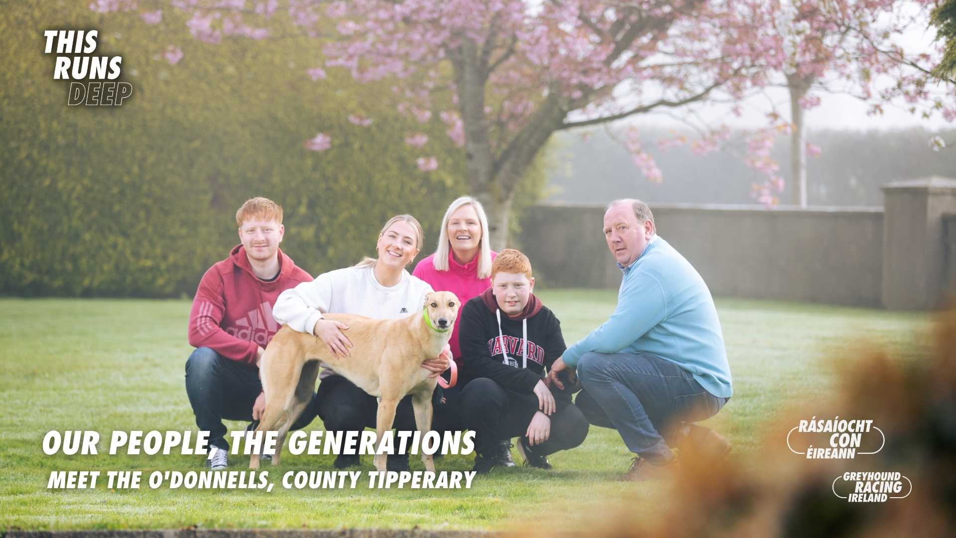 Meet the O'Donnell family from County Tipperary - Jim, Shari-Anne & their 3 children Cian, Aoife & James, a family with a deep love of greyhounds