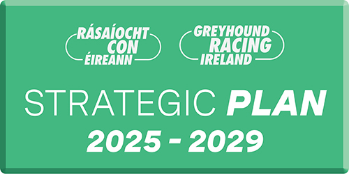 Image shows a clickable button with the RCÉ/GRI logo and the text Strategic Plan 2025 - 2029