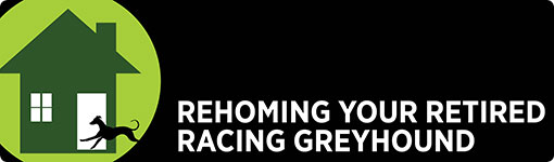 Click here to find out how rehome your retired racing greyhound